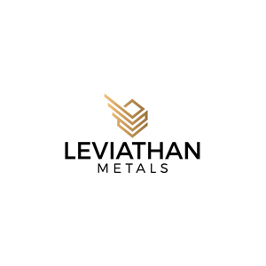 Logo Design by memindlogo for this project | Design: #35101011