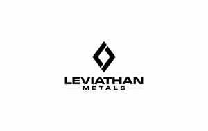 Logo Design by big daddy bojat for this project | Design: #35107329