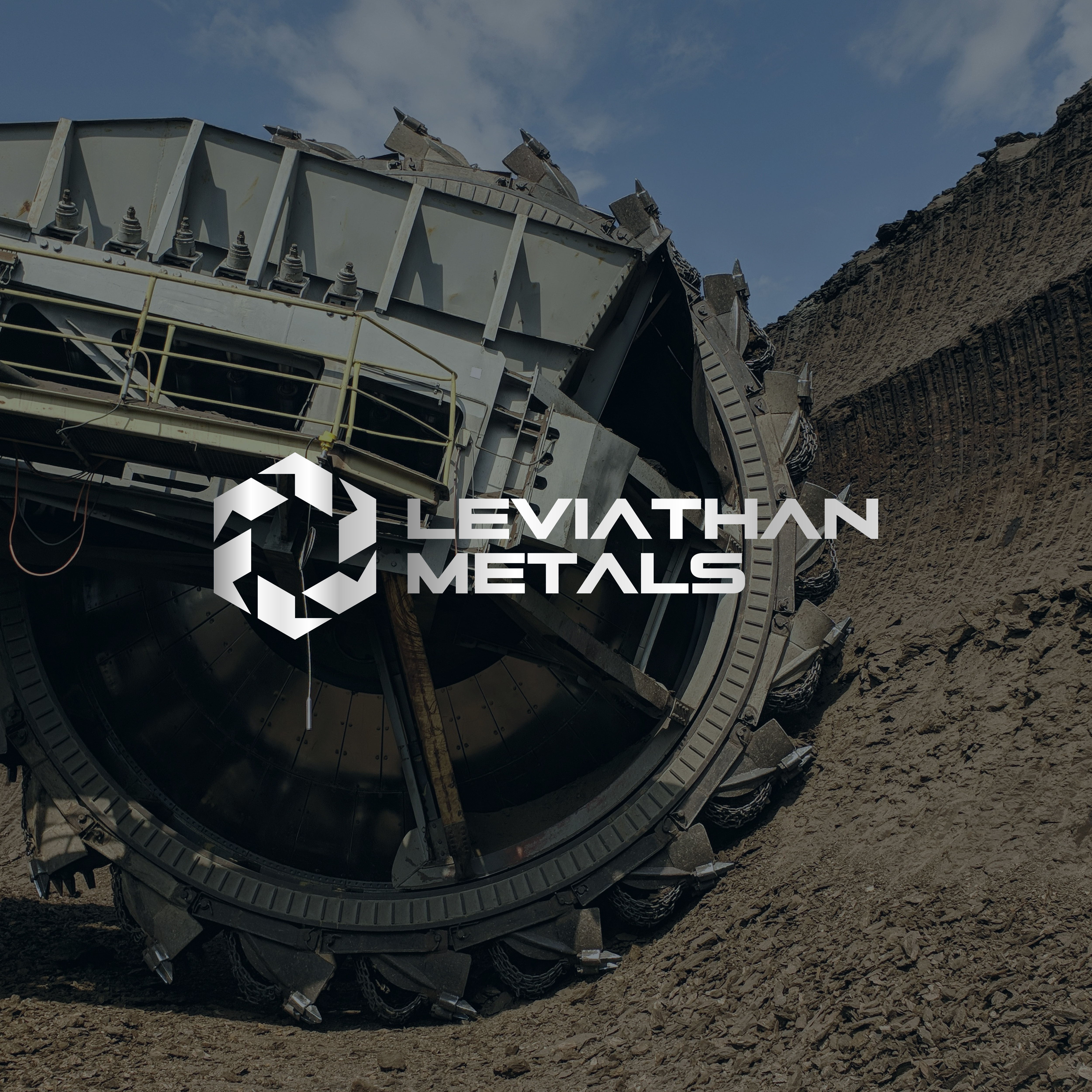 Diseño de Logo por thilini designs para este proyecto | Diseño #35093668