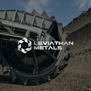 Logo Design by thilini designs for this project | Design: #35093668