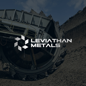 Logo Design by thilini designs for this project | Design: #35093750