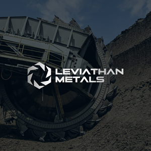 Logo Design by thilini designs for this project | Design: #35093751