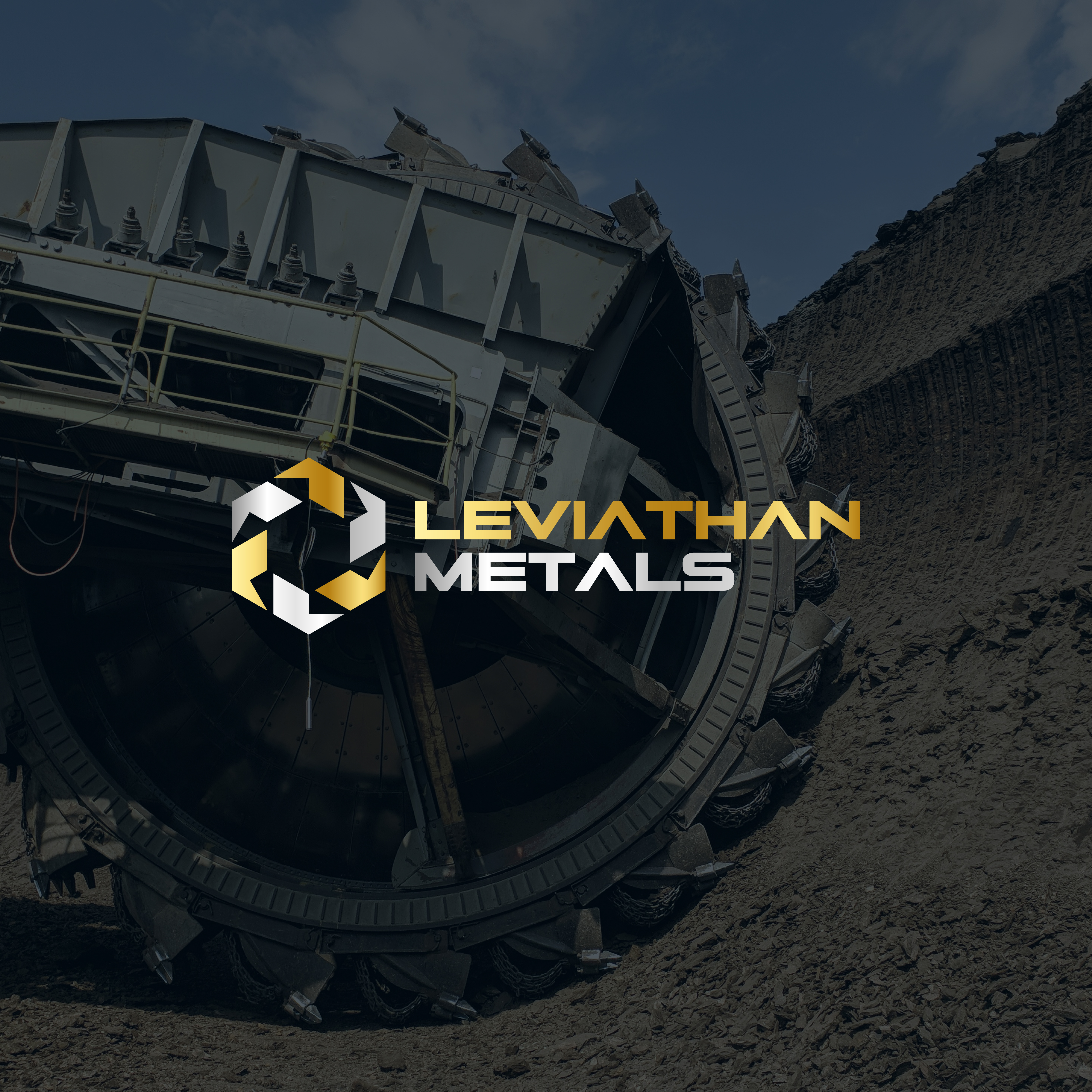 Logo-Design von thilini designs für dieses Projekt | Design #35094194