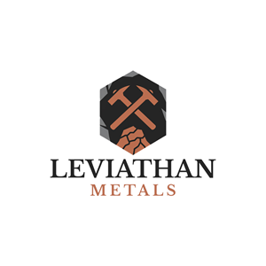 Logo Design by Faisu Graphics for this project | Design: #35104121