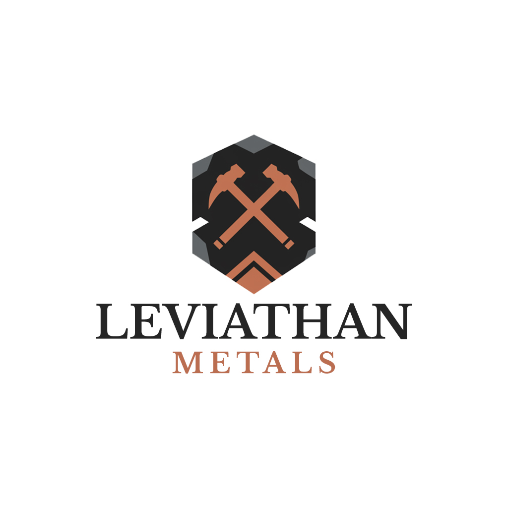 Diseño de Logo por Faisu Graphics para este proyecto | Diseño #35104154