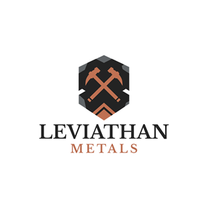 Logo Design by Faisu Graphics for this project | Design: #35104154