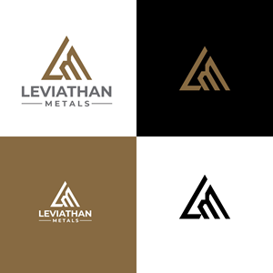 Logo Design by dianagargaritza for this project | Design: #35105766