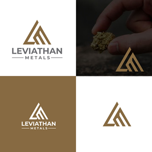Logo Design by dianagargaritza for this project | Design: #35133956