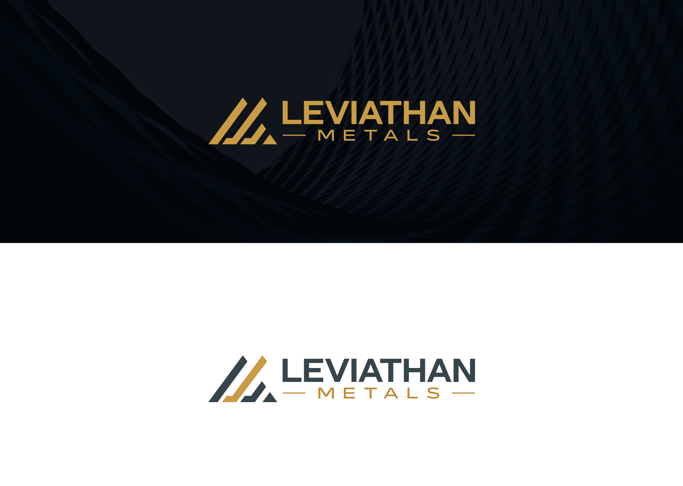 Logo Design by damakyjr for this project | Design #35091639