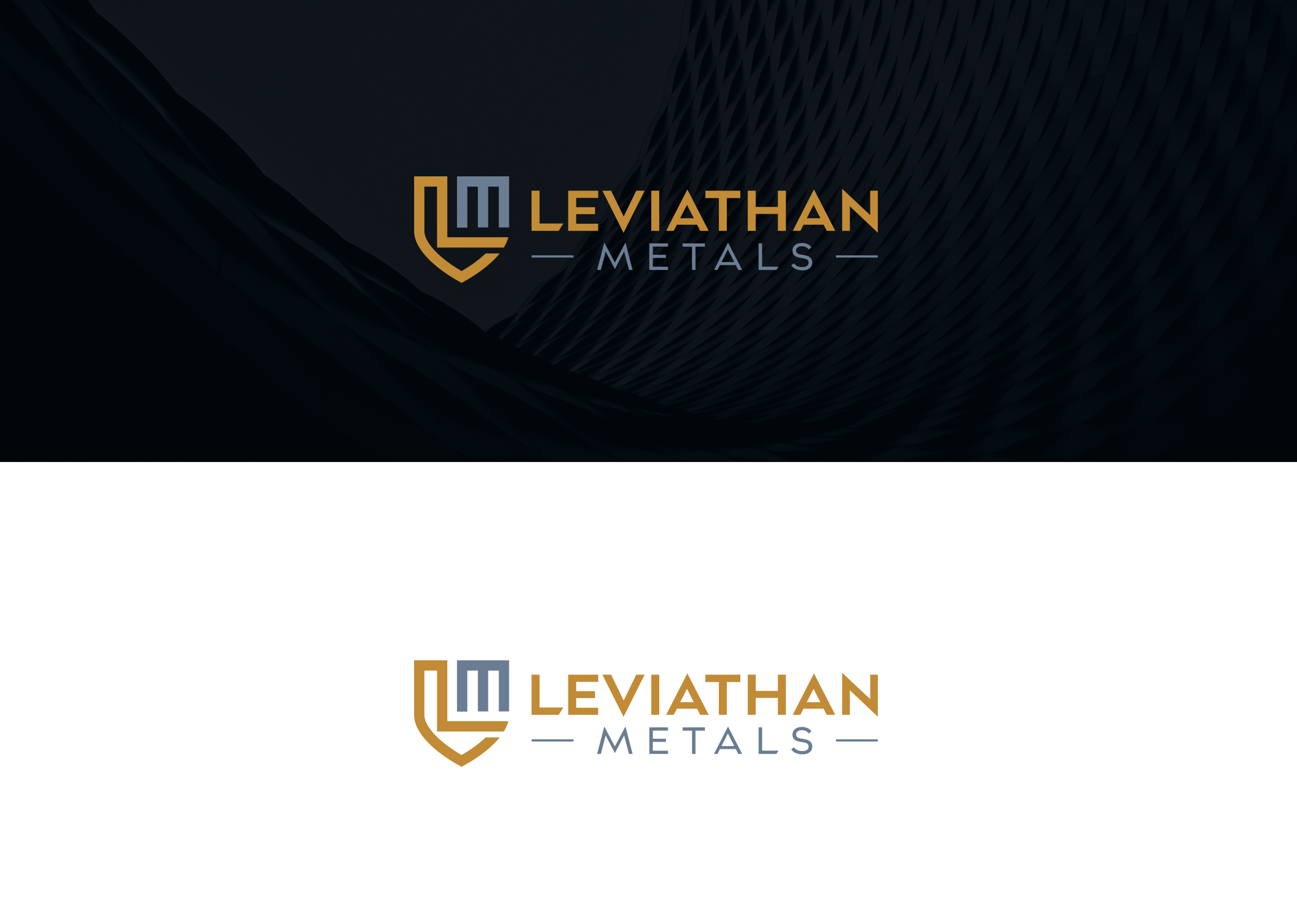 Logo Design by damakyjr for this project | Design #35091645