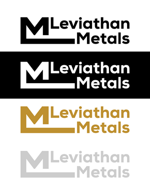 Logo Design by Graphicvai for this project | Design: #35094842