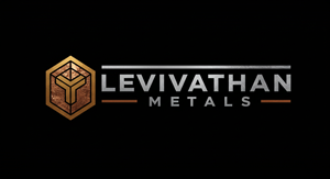 Logo Design by HSL Brain for this project | Design: #35090852