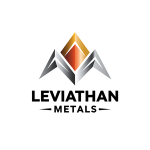 Logo Design by  Graphic JunctionPro