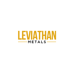 Logo Design by SaraArts