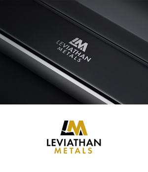 Logo Design by Maxo-Biz for this project | Design: #35090414