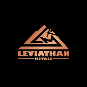 Logo Design by geni for this project | Design #35089412