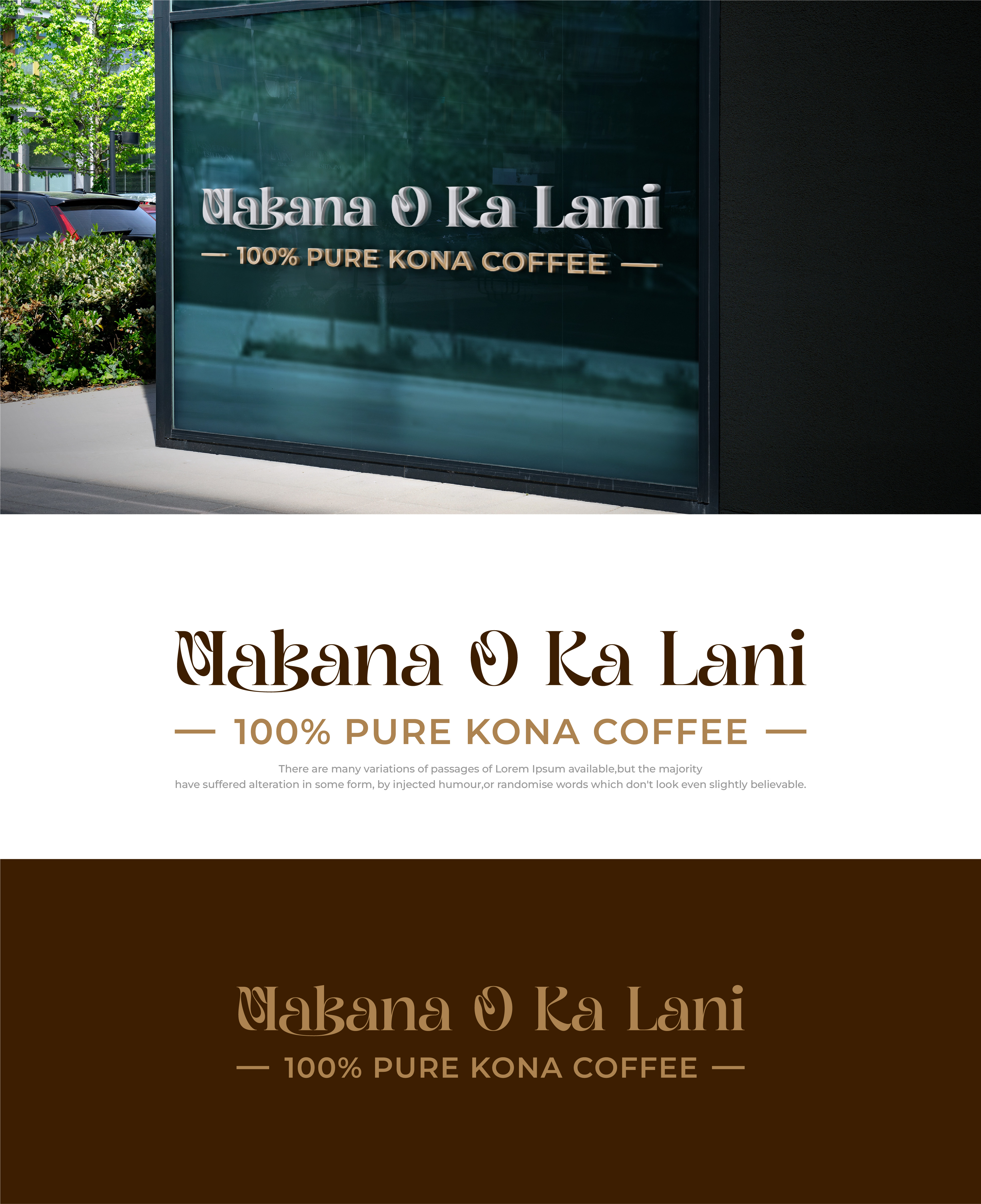 Logo Design by AliArsh for this project | Design #35098462