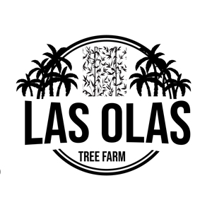 Logo Design by Raton2010