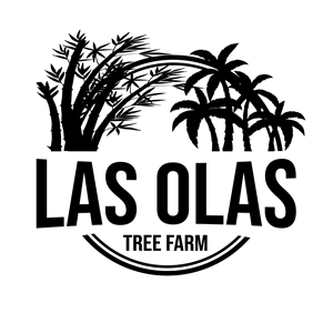 Logo Design by Raton2010 for this project | Design: #35099910