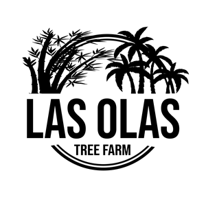 Logo Design by Raton2010 for this project | Design: #35099936