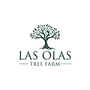 Logo Design by Krold IT Solutions for this project | Design: #35099693