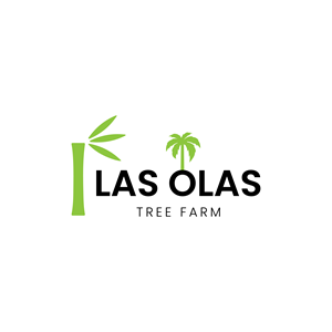 Logo Design by dynamicstudio