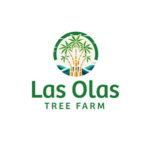 Logo Design by Beecomdesign