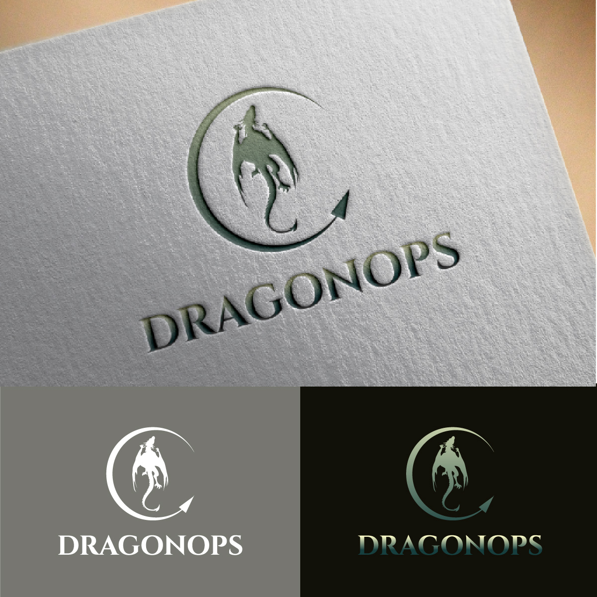 Logo Design by fly  design for this project | Design #35105032