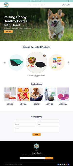Web Design by rightway