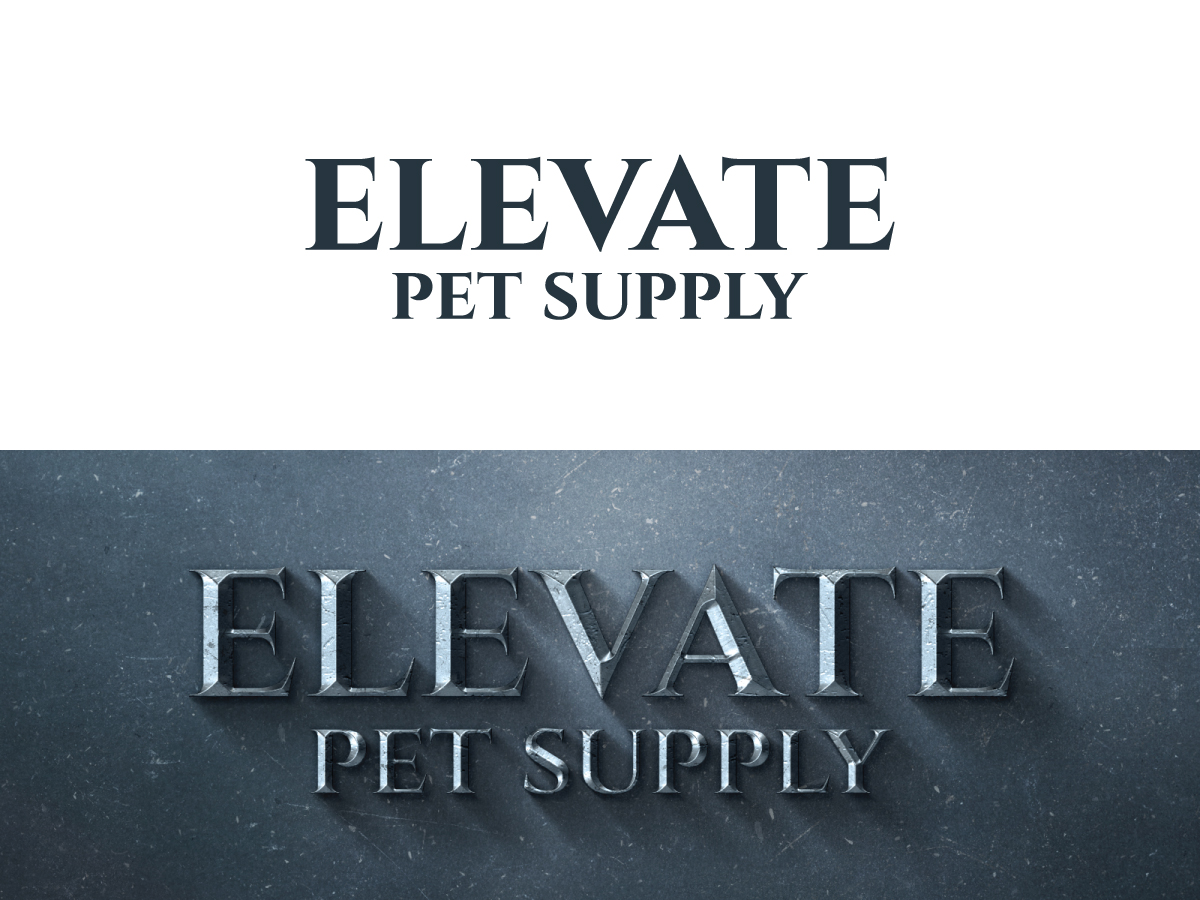 Logo Design by 439 Creations for DPM Services LLC | Design #35140000