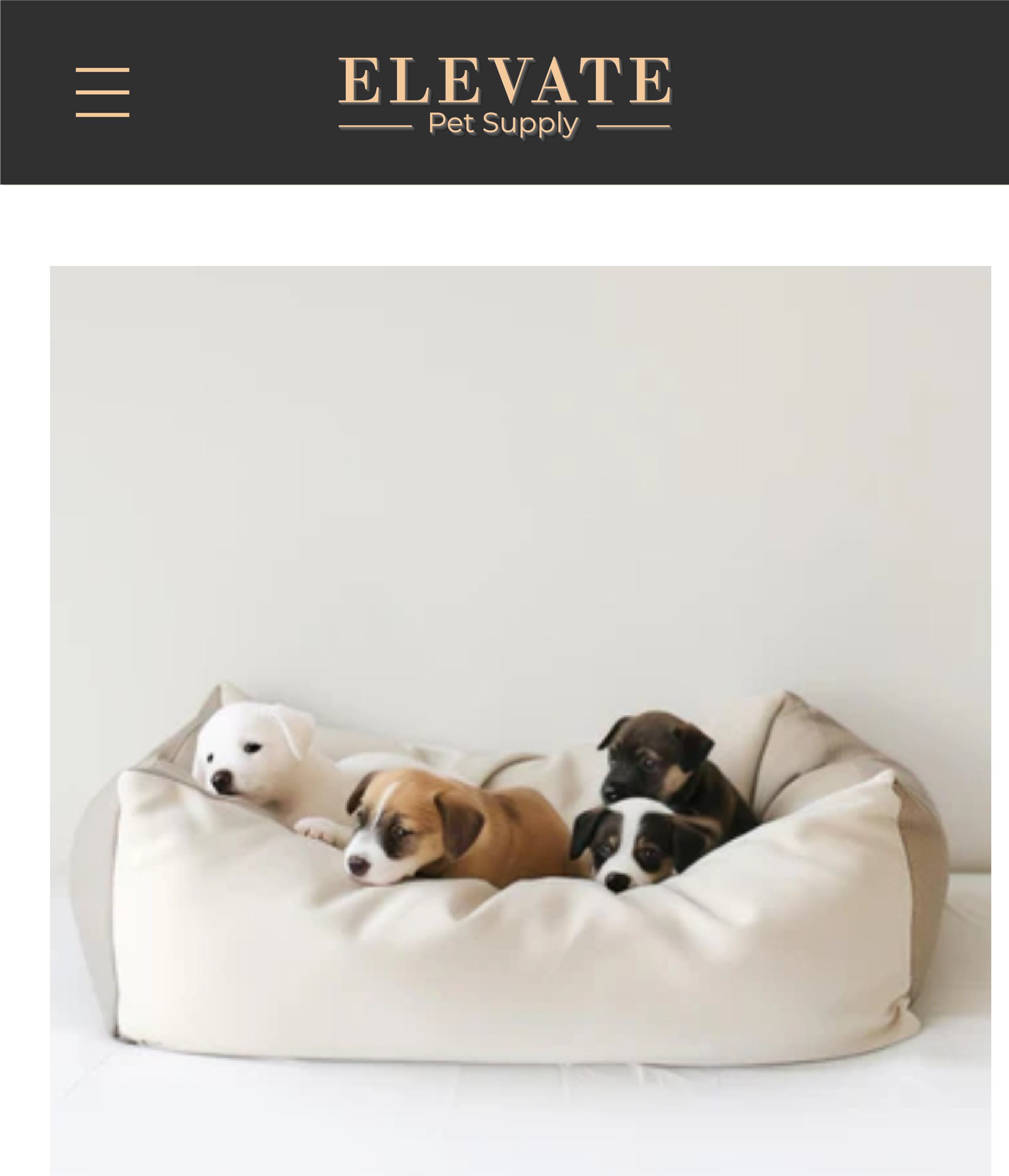 Diseño de Logo por 99 Art.. para DPM Services LLC | Diseño #35137556