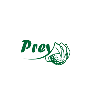 Diseño de Logo por VisionCraft™ para este proyecto | Diseño: #35122179