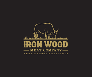 Logo Design by Ansh Design for this project | Design: #35211545