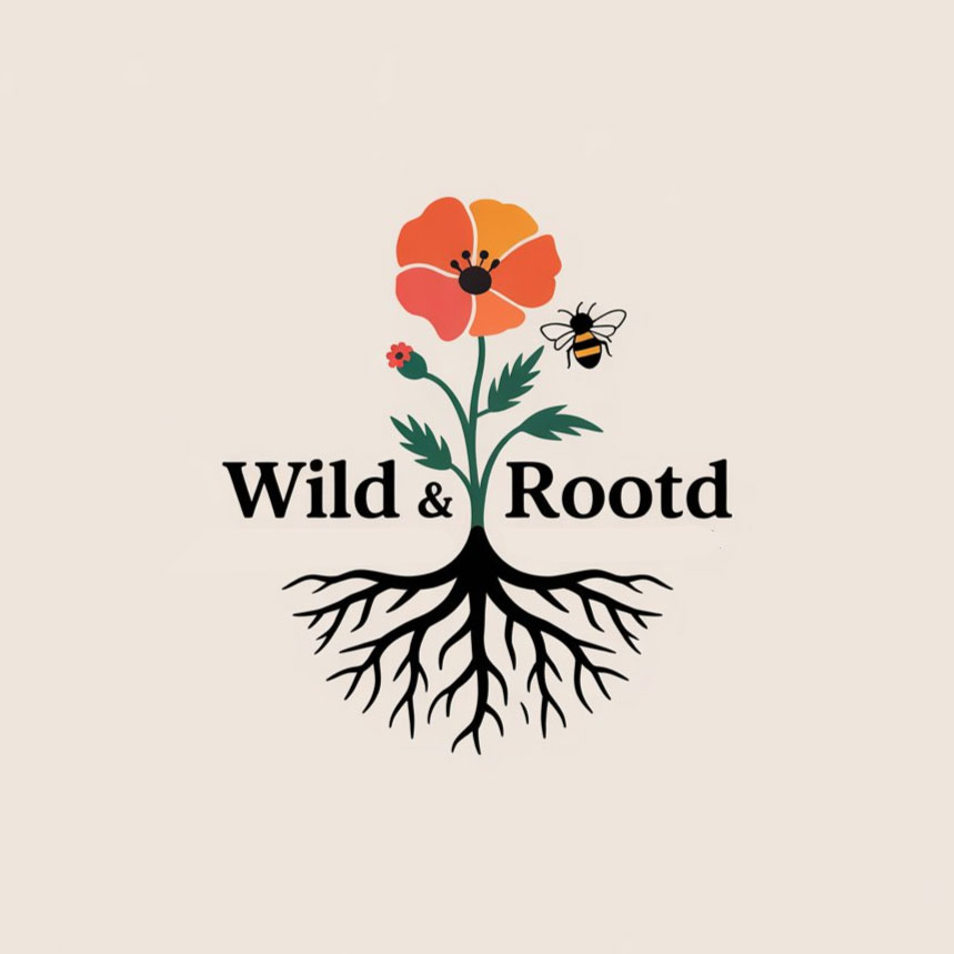 Logo-Design von DesignVerse777 für Hammerschmidt Law Corporation | Design #35138603