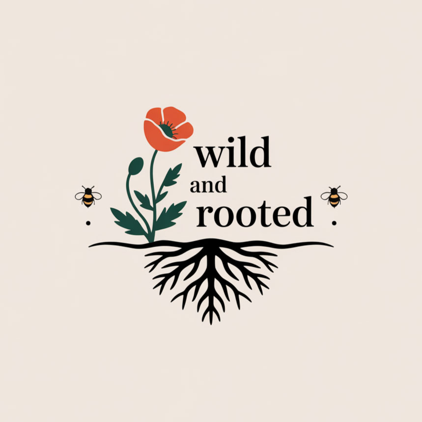 Logo-Design von DesignVerse777 für Hammerschmidt Law Corporation | Design #35138605