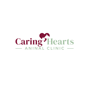 Logo Design by Casey Kelechi for this project | Design: #35134978