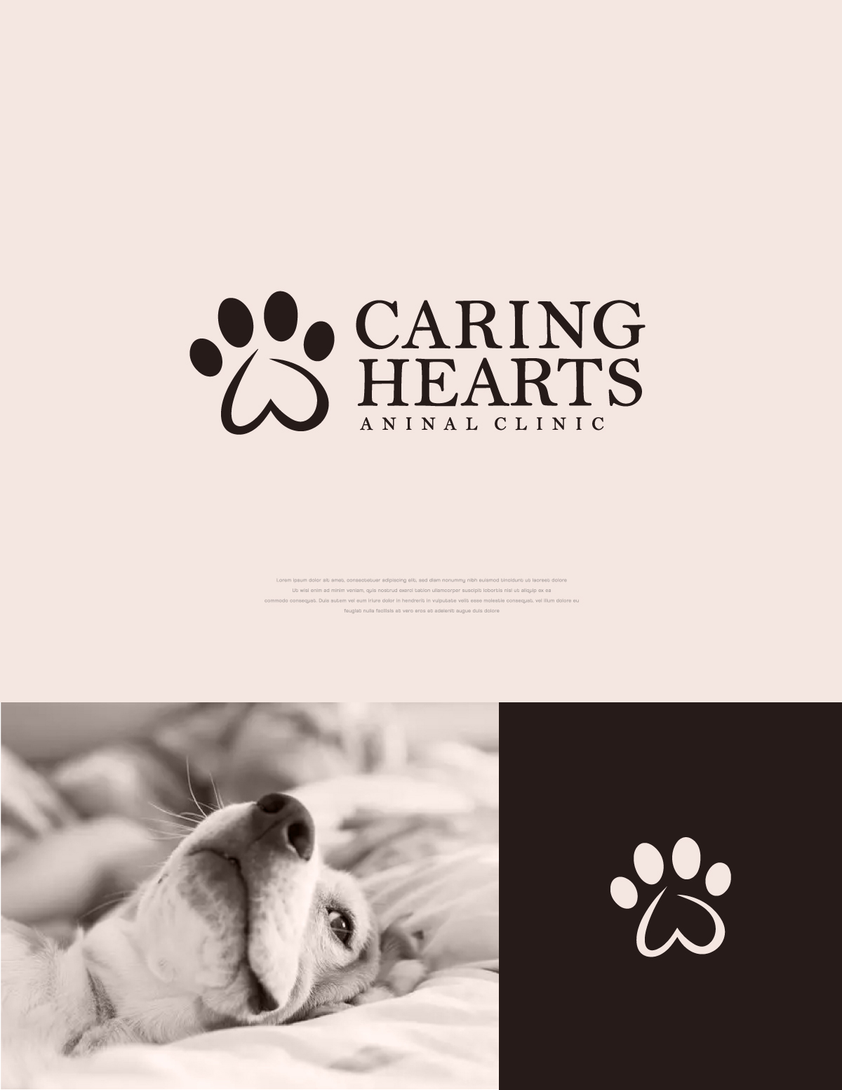 Diseño de Logo por apik. para este proyecto | Diseño #35131199