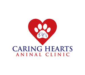 Logo Design by Nova_Create for this project | Design: #35134784