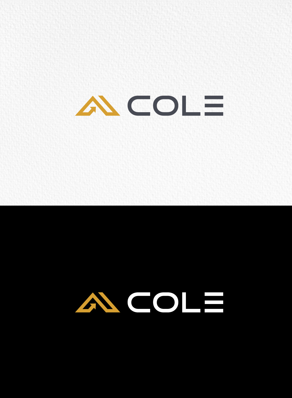 Logo Design by SolDesign for this project | Design #35178910