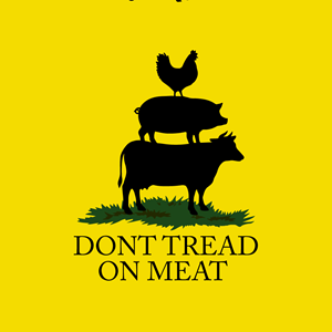 Logo Design by Franabanana for this project | Design: #35151445