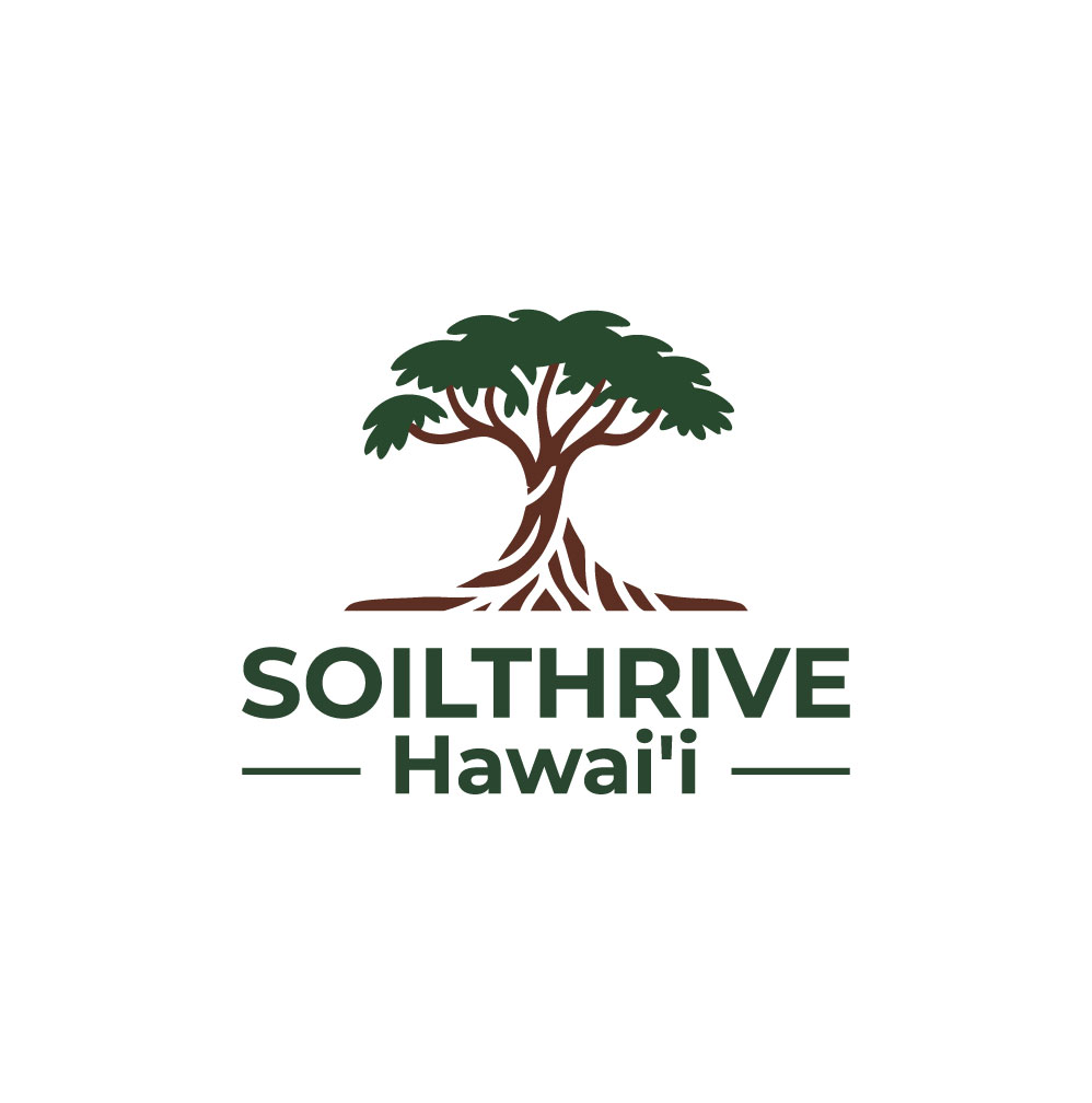 Logo Design by DesignVerse777 for this project | Design #35206230