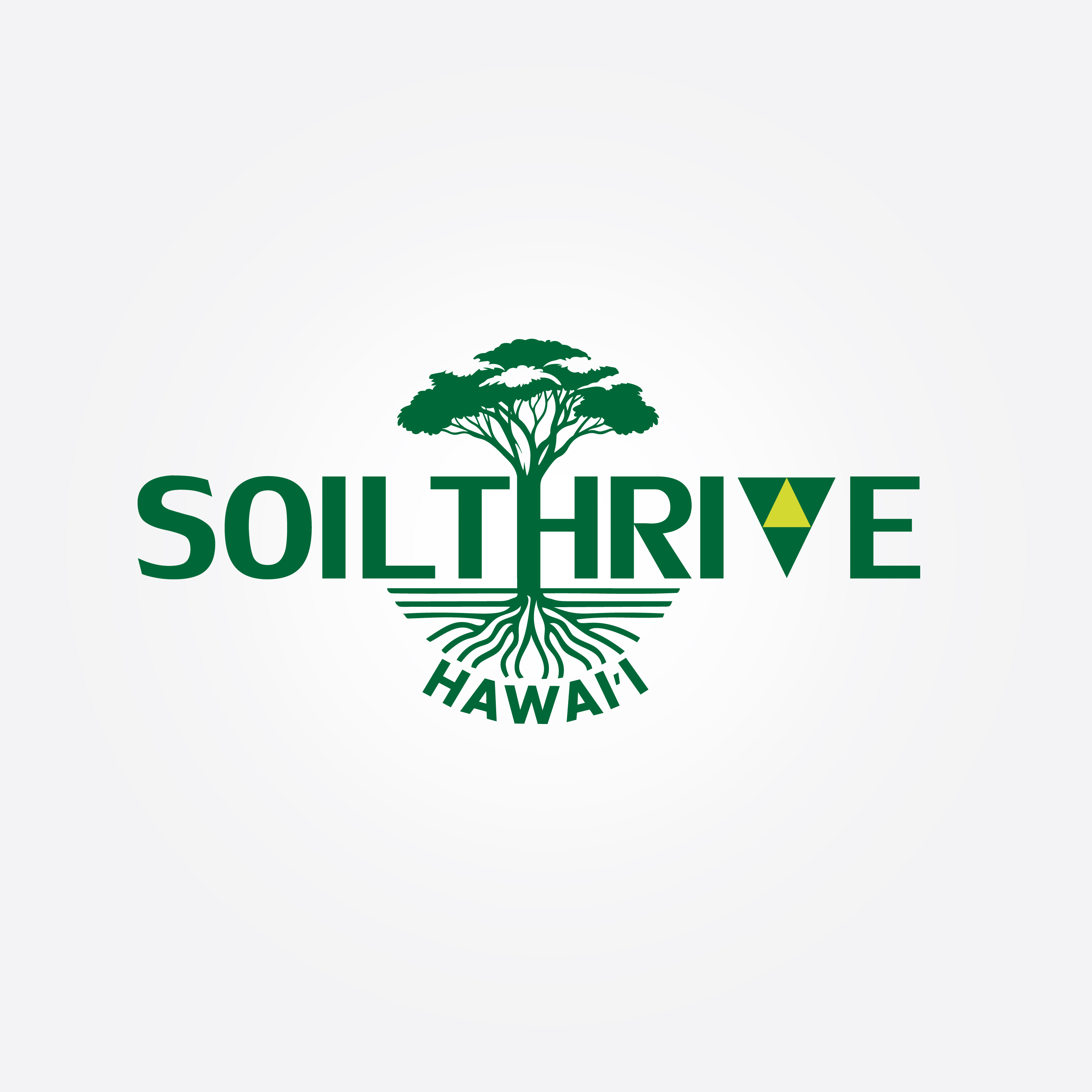 Logo Design by IMAN.R for this project | Design #35221291