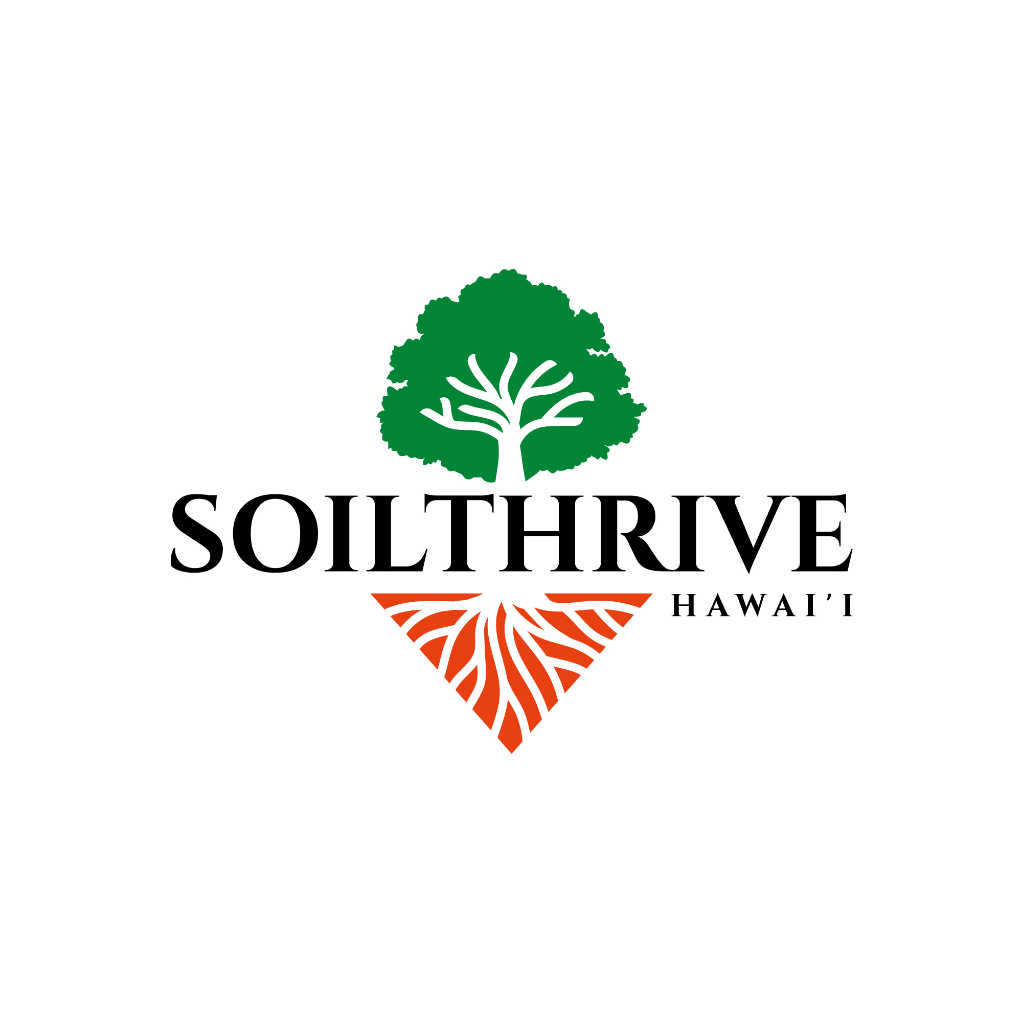 Diseño de Logo por dicubit para este proyecto | Diseño #35249460