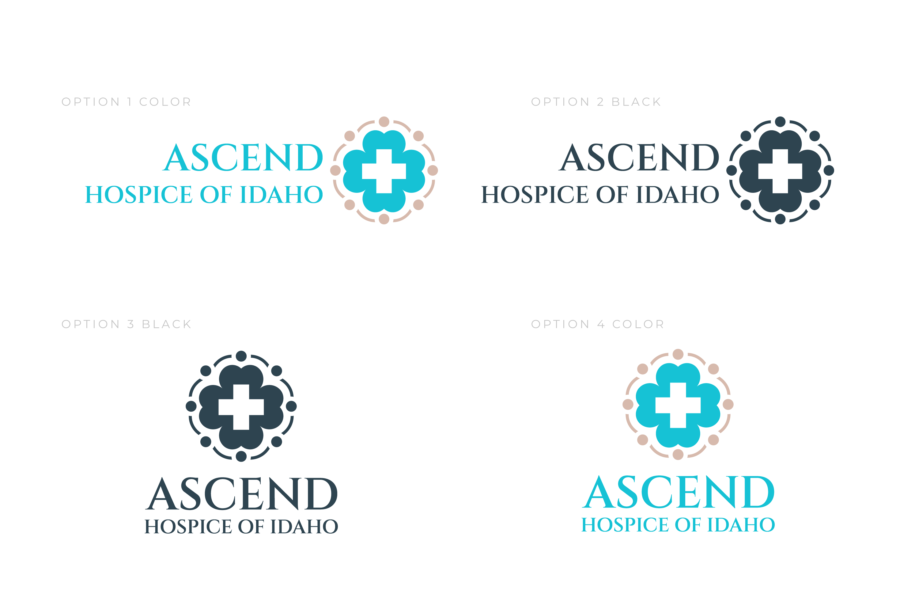 Logo Design by Jiansù for this project | Design #35154799