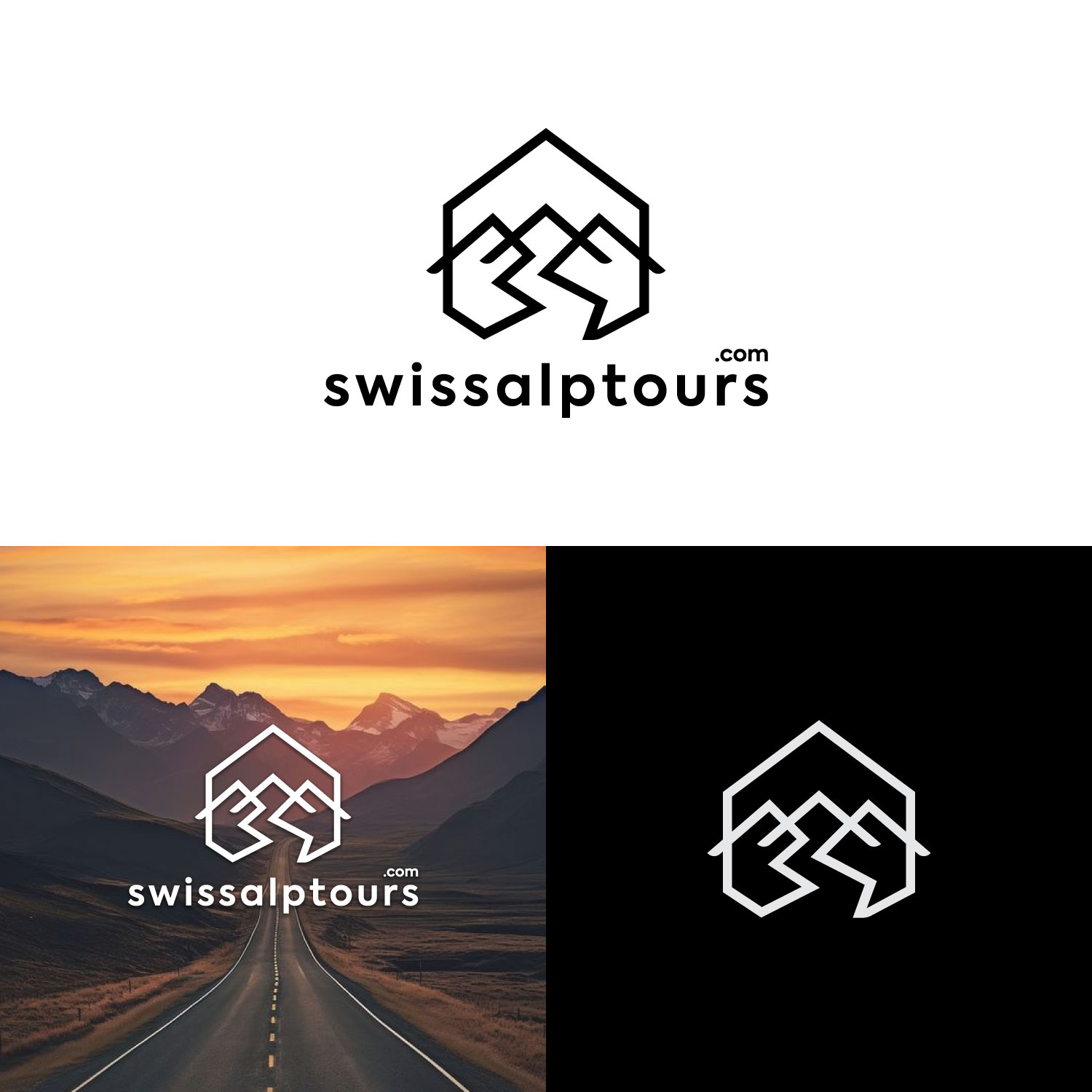 Logo Design by Global tech for Paragliding Switzerland Shop GMBH | Design #35166148