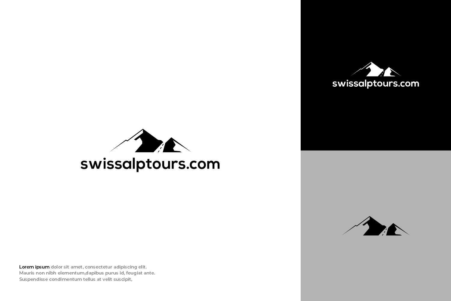Logo Design by Mantra™ for Paragliding Switzerland Shop GMBH | Design #35160030