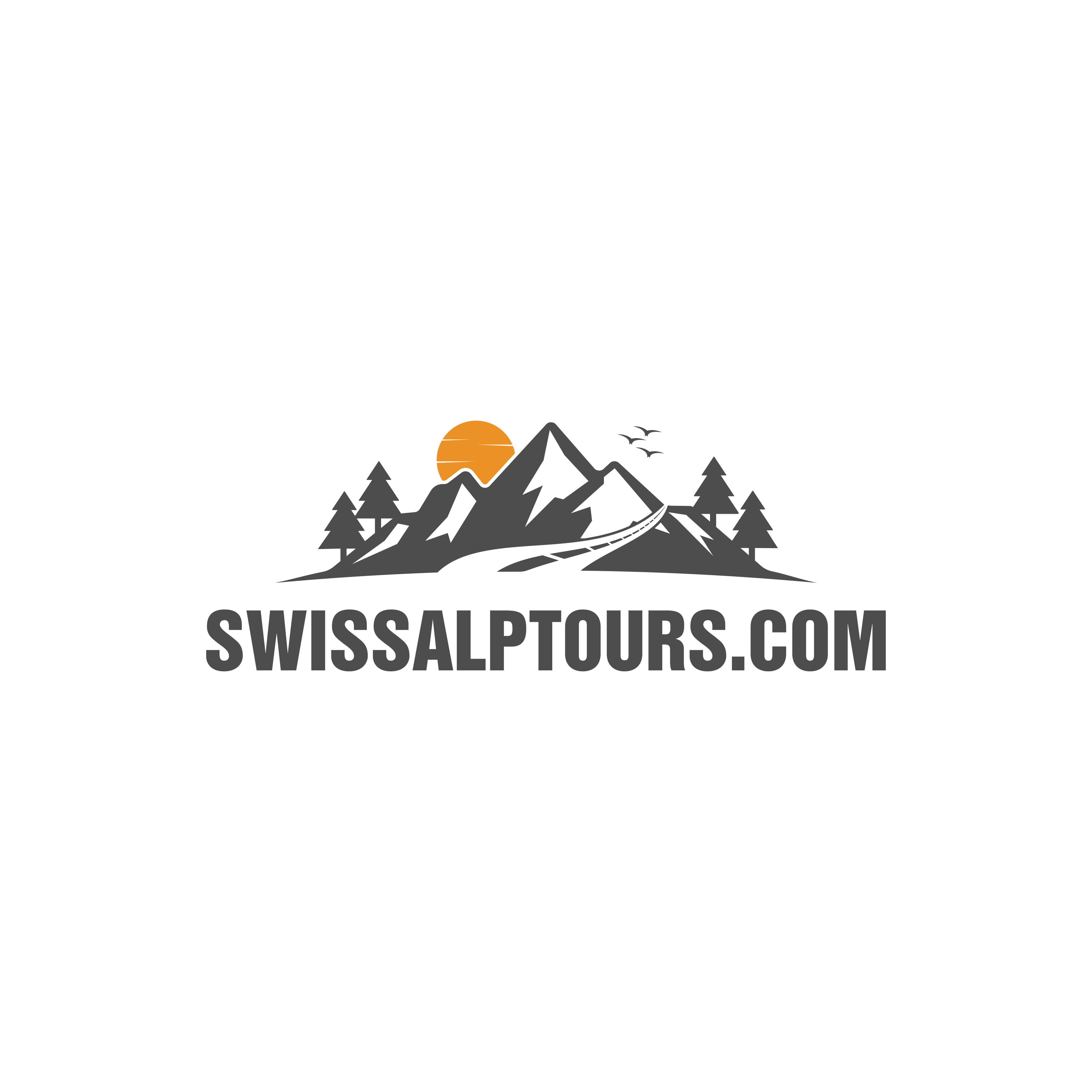 Diseño de Logo por ameliadesigns para Paragliding Switzerland Shop GMBH | Diseño #35162945