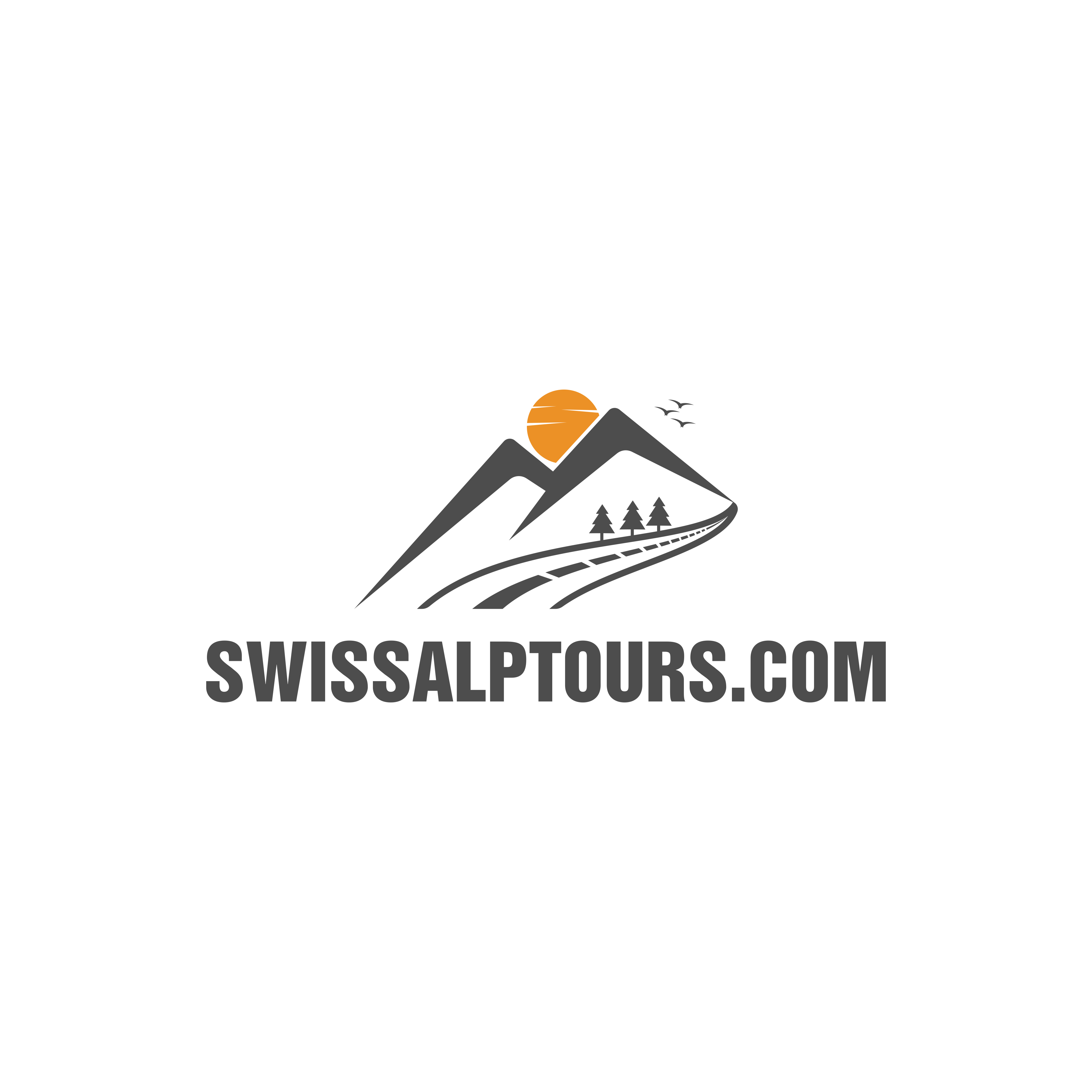 Diseño de Logo por ameliadesigns para Paragliding Switzerland Shop GMBH | Diseño #35162946