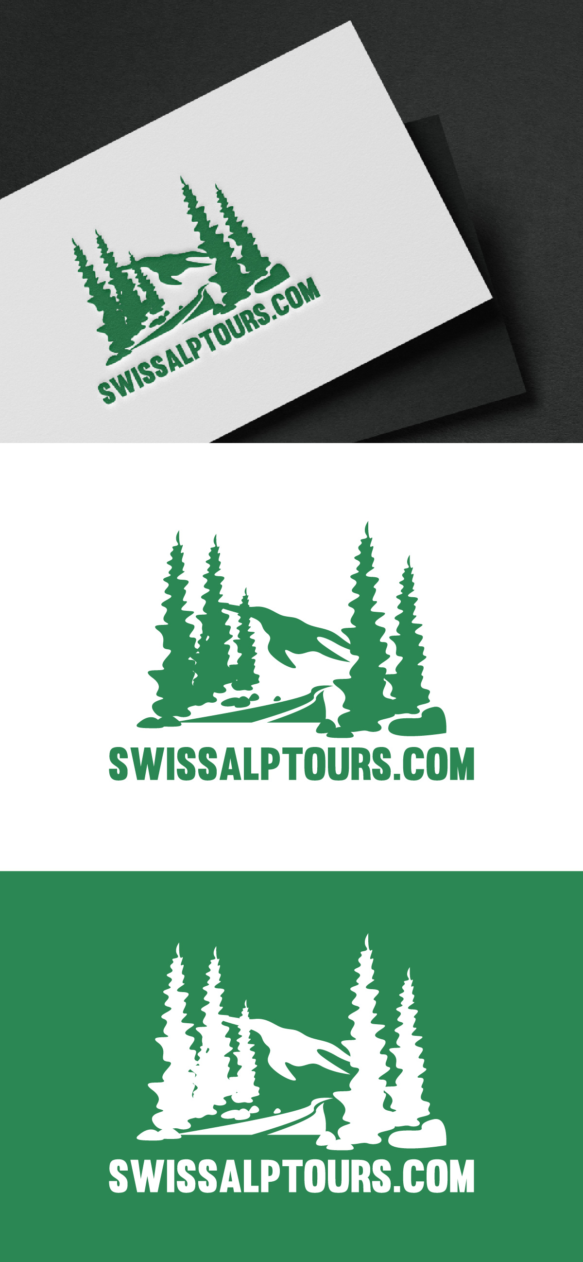 Logo Design by fly  design for Paragliding Switzerland Shop GMBH | Design #35167027
