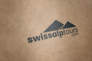 Logo Design by Jiansù for Paragliding Switzerland Shop GMBH | Design: #35176330